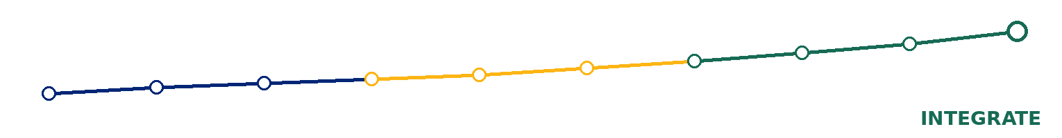 Chapter 09 position on the blue-gold-green IE 101 project journey.